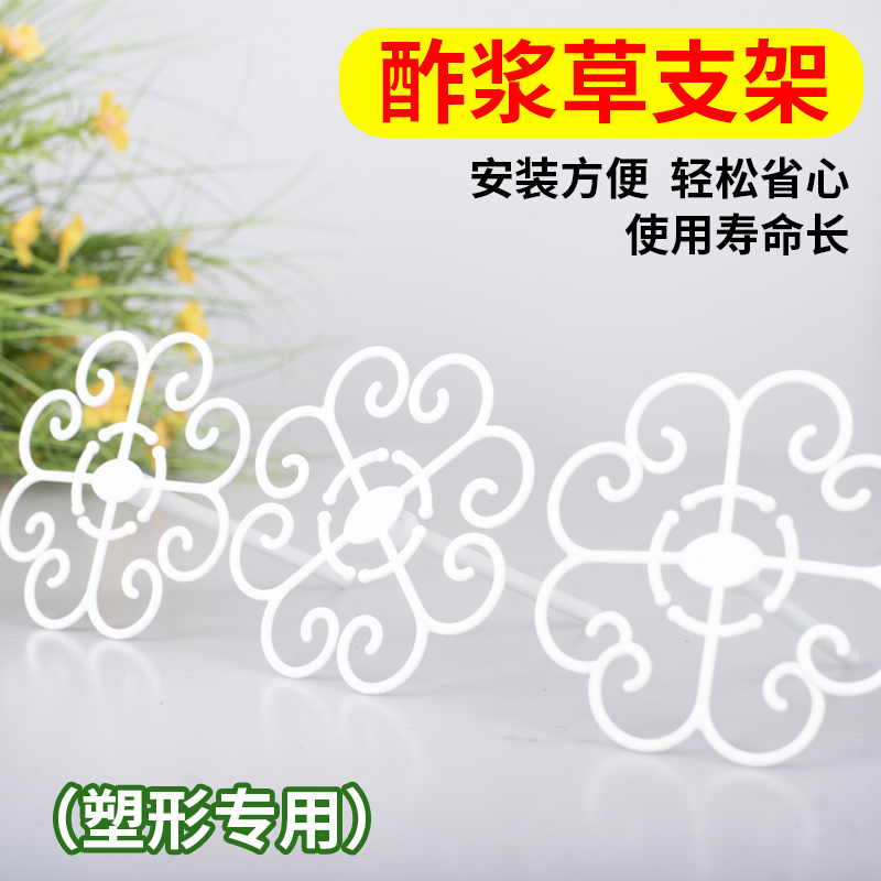 花多多酢浆草支架防倒伏定型