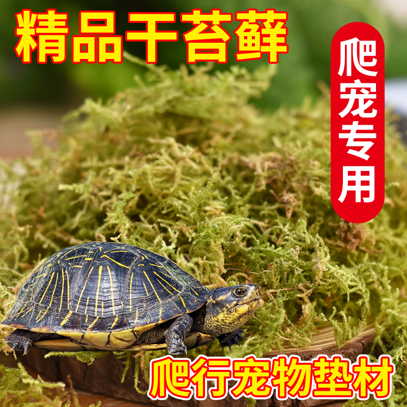 乌龟冬眠专用干苔藓爬宠过冬垫材装备用品冬眠神器黄缘龟椰土椰砖