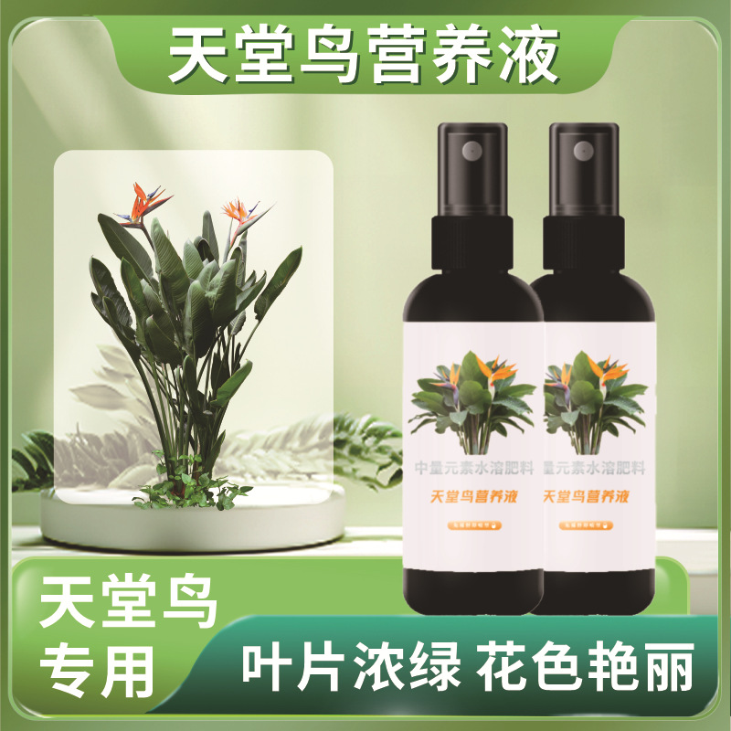 天堂鸟专用营养液高效预防