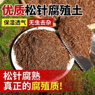 松针腐殖土发酵腐熟腐叶纯松针花土泥炭营养土君子兰兰花专用土