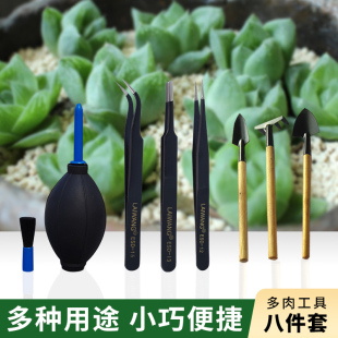 多肉种植工具套装养多肉植物的三件套组合种花栽肉肉专用园艺工具