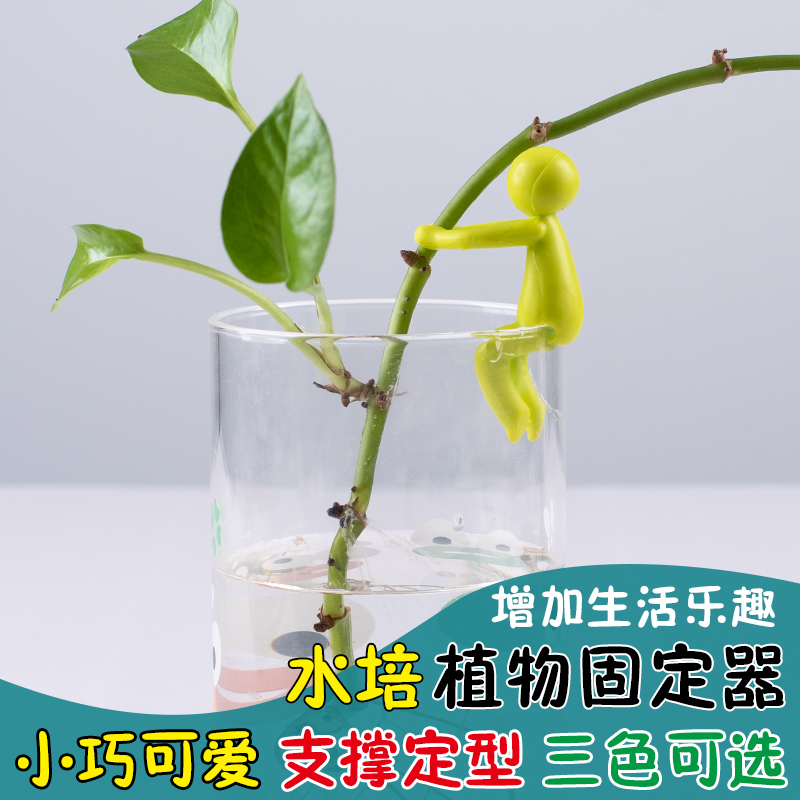 水培固定器防倒伏固定神器