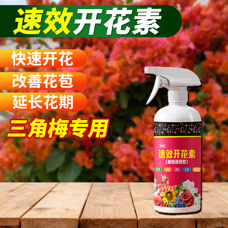 三角梅开花素速效安全家养植物通用即喷高浓缩营养液新手放心用