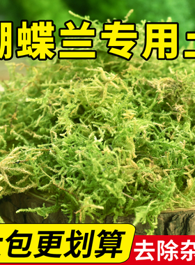 水苔蝴蝶兰专用干苔藓青苔营养土兰花石斛大包种植乌龟垫材