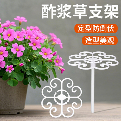 酢浆草专用固定防倒伏造型支架