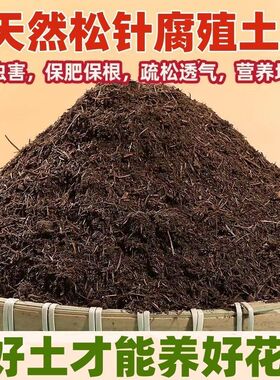 松针腐殖土营养土纯松针花土松针土泥炭土纯松针腐熟松针土腐叶土