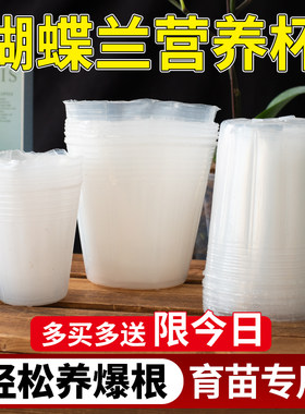透明易观察根系透气不闷根花盆