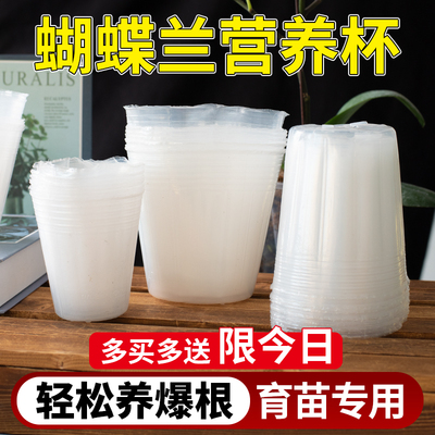 透明易观察根系透气不闷根花盆