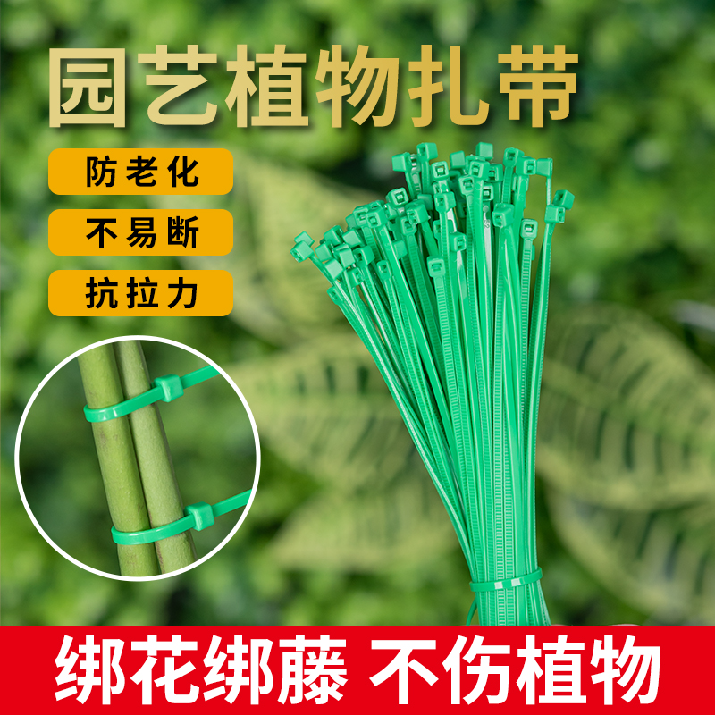 园艺扎带绿色爬藤专用