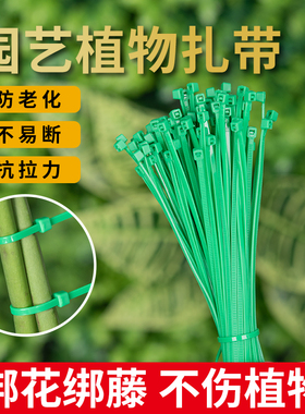 绿色园艺扎线扎带塑料尼龙月季爬藤塑形植物迁引固定绑花神器支架