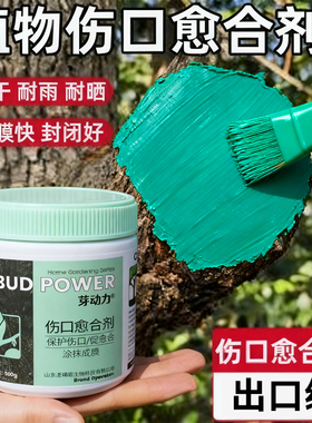 植物伤口愈合剂树皮损伤愈伤膏嫁接涂膜剂果树锯口糊涂剪枝封口胶