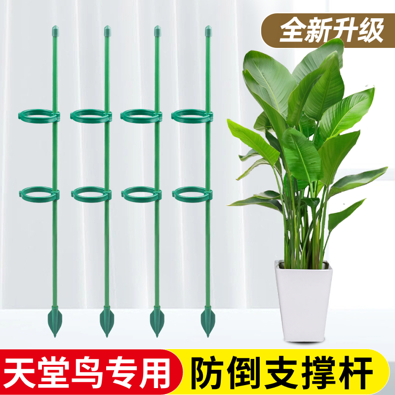 天堂鸟支撑杆专用花支架