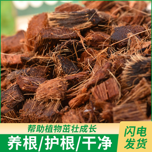 多肉土花卉君子兰椰糠脱盐椰砖粗椰壳砖兰花专用营养土蝴蝶兰植料