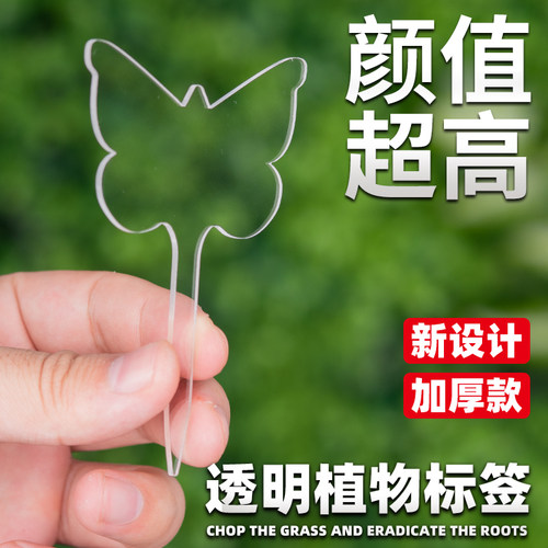 高透明款植物标签颜值超高
