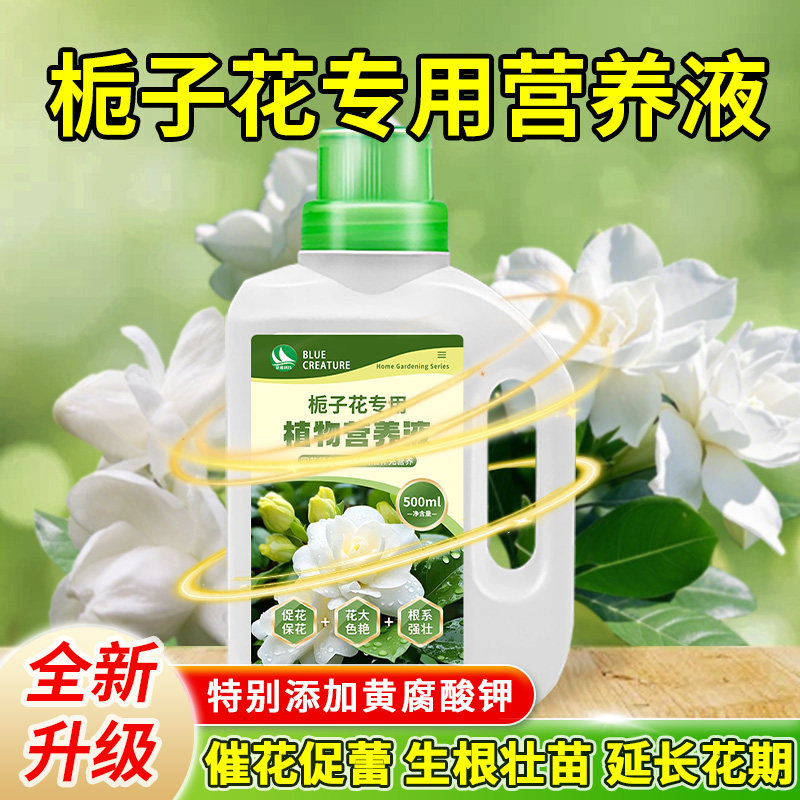 花多多栀子花营养液酸性促开花