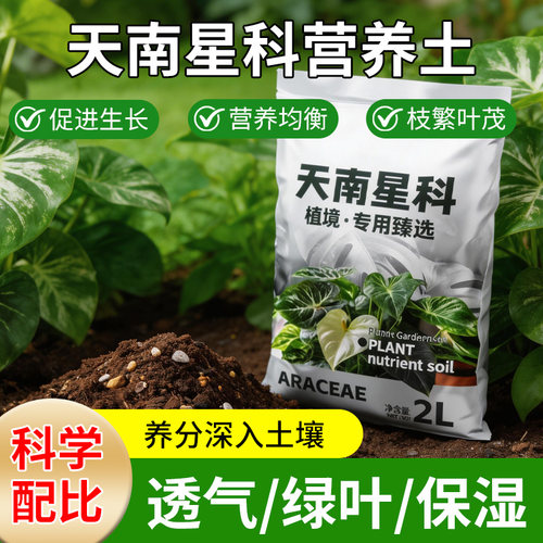 天南星科植物专用土透气保湿型