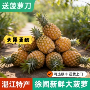 可选顺丰 新鲜徐闻大菠萝5斤8斤 大果更甜 湛江特产水果 需浸盐水