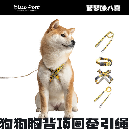 BluePort狗狗多功能牵引胸背项圈外出遛狗绳宠物反光加长防挣脱