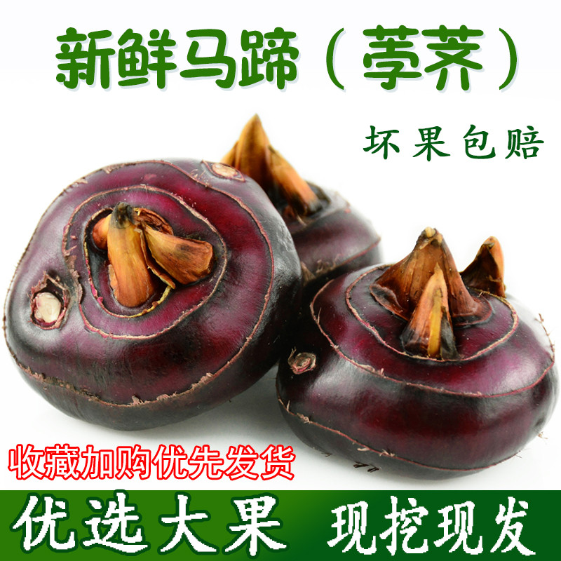 新鲜现挖马蹄荸荠地栗农家水果特大即食当季整箱蔬菜红马蹄果包邮