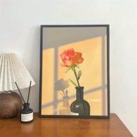 Свет и тень растение c