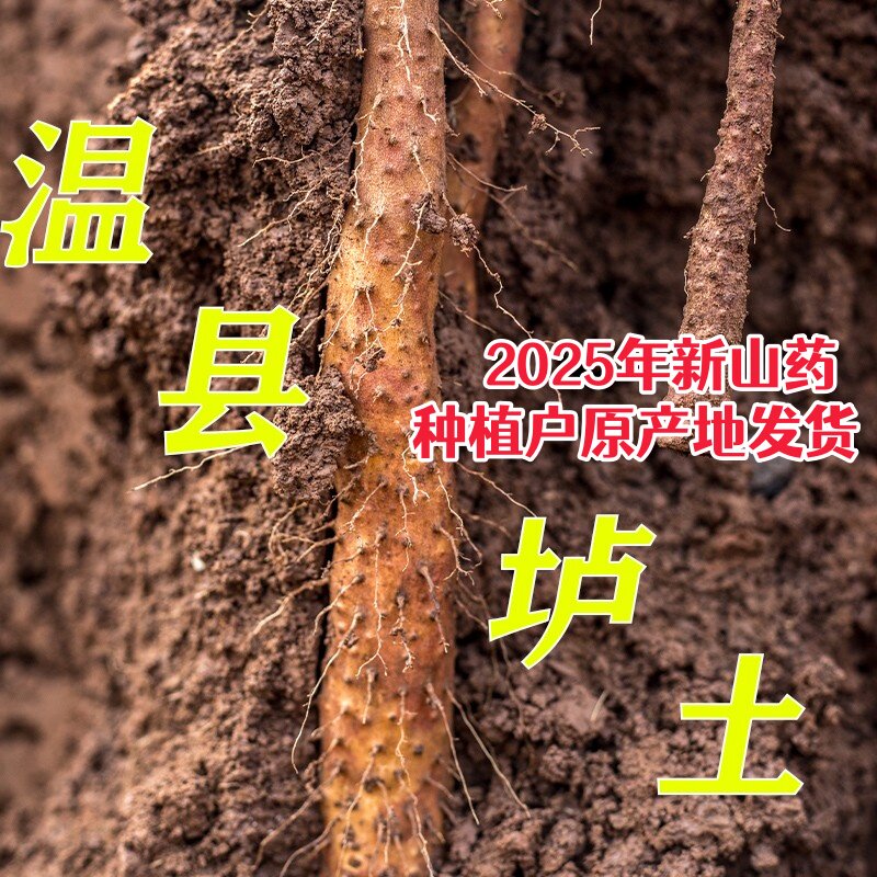2025年温县垆土正宗铁棍怀山淮山药新鲜现挖铁杆25-65cm宝宝辅食