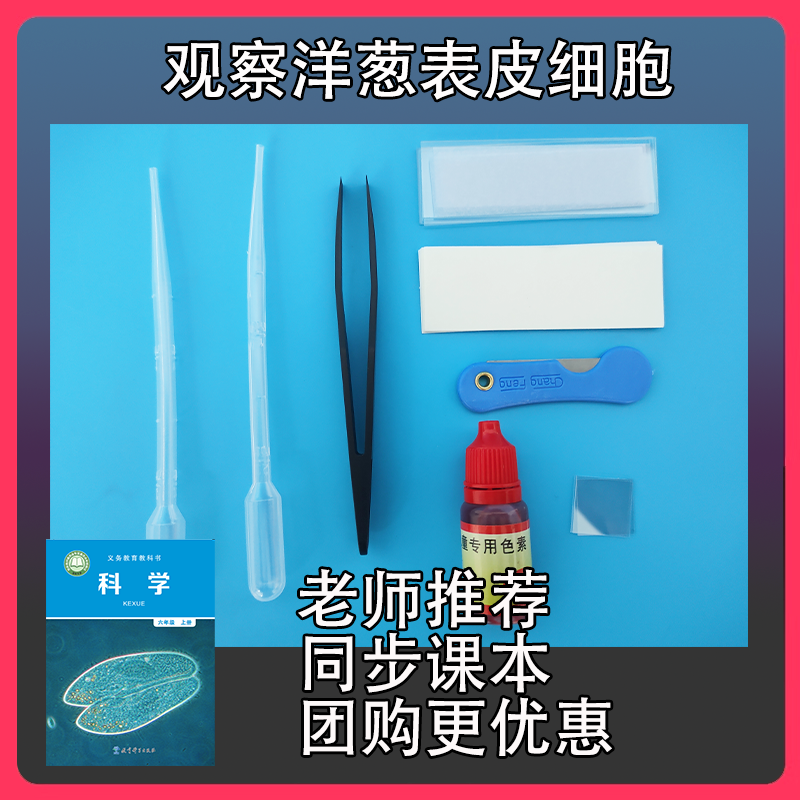 观察洋葱表皮细胞小学六年级上册载玻片盖玻片色素水制作玻片标本
