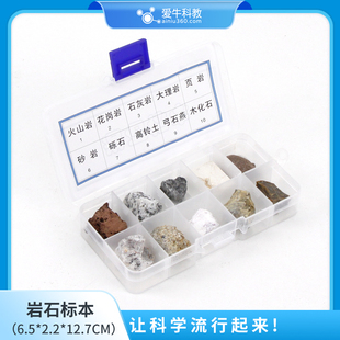 小学科学岩石标本化石标本13*7*2.3cm火山岩大理岩弓石燕木化石等