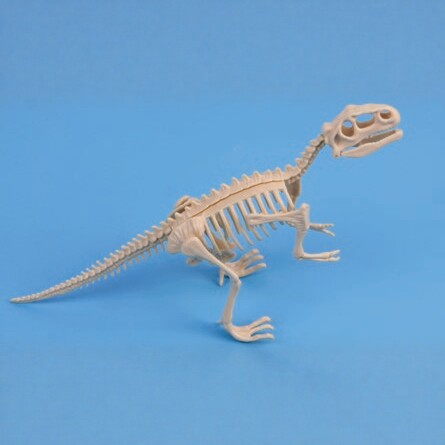 爱牛科教  拼接恐龙化石 霸王龙 三角龙 剑龙 恐龙骨骼模型