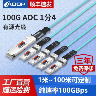 100g有源戴尔思科光缆ADOP