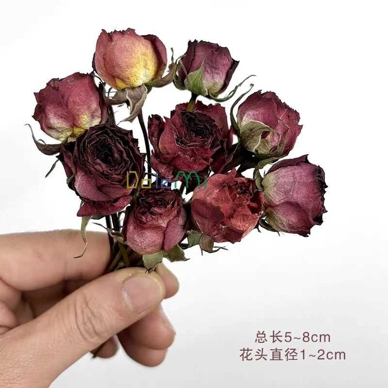 多头小玫瑰diy盒装干花滴胶相框材料拍摄道具装饰ins摆件蔷薇泡泡