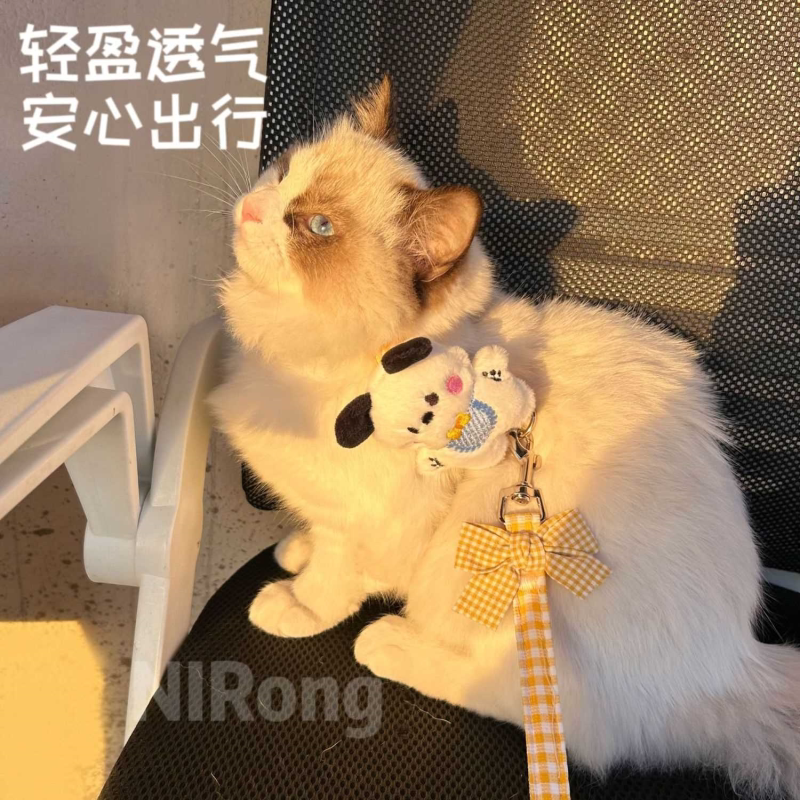 小猫咪牵引绳工字型猫项圈可调溜猫绳防挣脱通用小型犬兔子猫链子