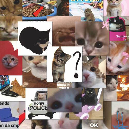 200张软萌卡哇伊搞怪猫咪风图案高颜值贴纸diy行李箱笔记本电脑头盔电车手机壳桌面趣味搞笑表情包装饰贴