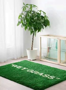 WET GRASS 湿草地绿色长绒地毯IKEA联名潮牌客厅卧室床边装饰背景