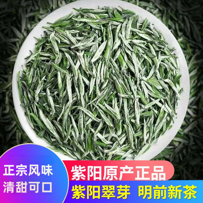 2026新茶叶陕西安康紫阳茶明前春茶正宗紫阳翠芽毛尖特级嫩芽送礼