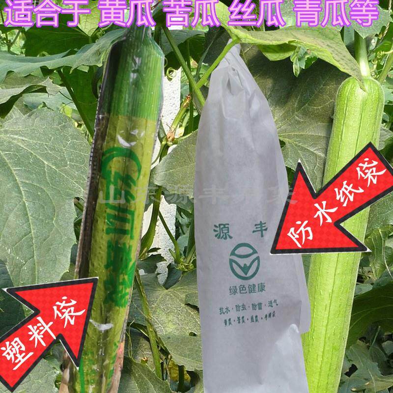 黄瓜癞瓜套袋专用袋苦瓜半生瓜纸袋茭瓜西葫芦茄子青南瓜防水虫袋在类目 鲜花速递/花卉仿真/绿植园艺, 园艺用品, 其它园艺用品中 - 来自Buy2taobao.com提供专业的淘宝代购服务