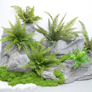 饰园林铺面假植物遮挡马尾松绿化摆件组合 仿真蕨景观绿植造景装
