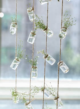 绿植水培植物玻璃瓶悬