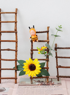 速发干藤枝梯子房子藤框摆设儿件自然角幼摆园植物角户外装饰花布