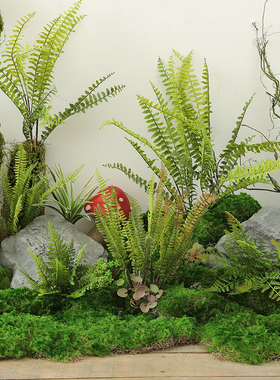 4-19灵彩仿真植物苔藓绿植