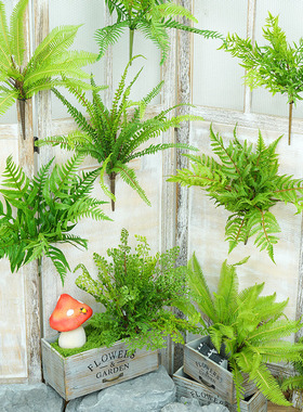 仿真植物绿植蕨类背景墙橱窗婚庆创意装饰手感造景插花尤加利叶