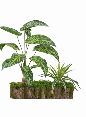 山野雅居茶室茶席摆件仿真绿植小景木桩栽室内耐阴蕨类植物造景