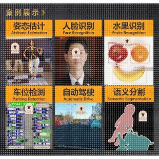 python计算机视觉目标检测图像识别代做定制 yolo pytorch opencv