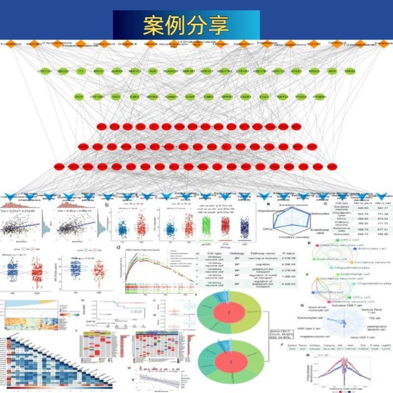 TCGA GEO数据库挖掘单细胞测序转录组分析