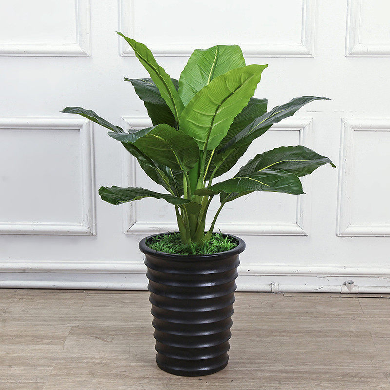 仿真万年青假树植物绿植盆栽芭蕉树酒店客厅落地装饰盆景陈列摆件