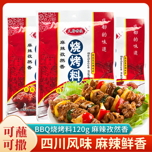 天府世家BBQ烧烤料120g 麻辣孜然川味烤鸡翅烤肉腌制调料配料家用