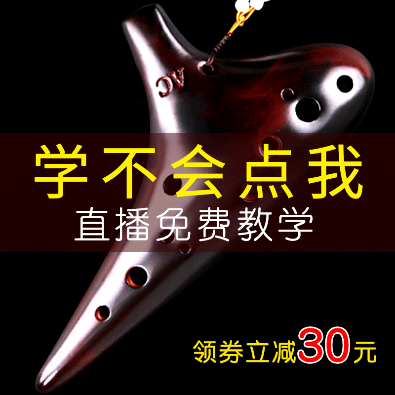 一土陶笛12孔送6孔塑胶初学入门中音C调十二孔AC专业演奏陶埙乐器