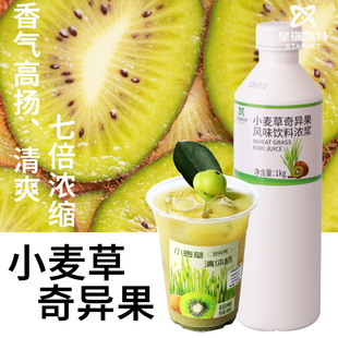 星瑞凯特小麦草奇异果风味饮料浓浆咖啡奶茶餐饮饮品原料
