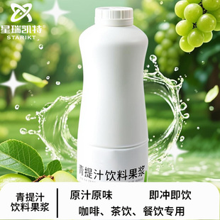 星瑞凯特青提汁饮料果浆咖啡茶饮餐饮专业果汁