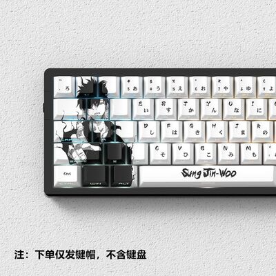 我独自升级热升华PBT侧刻透光原厂键帽适配wotting/美加狮