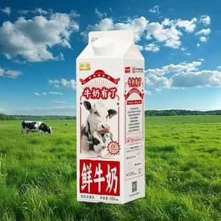 【顺丰】卫岗鲜淳鲜牛奶3.4g乳蛋白950ml*2盒生牛乳学生营养早餐